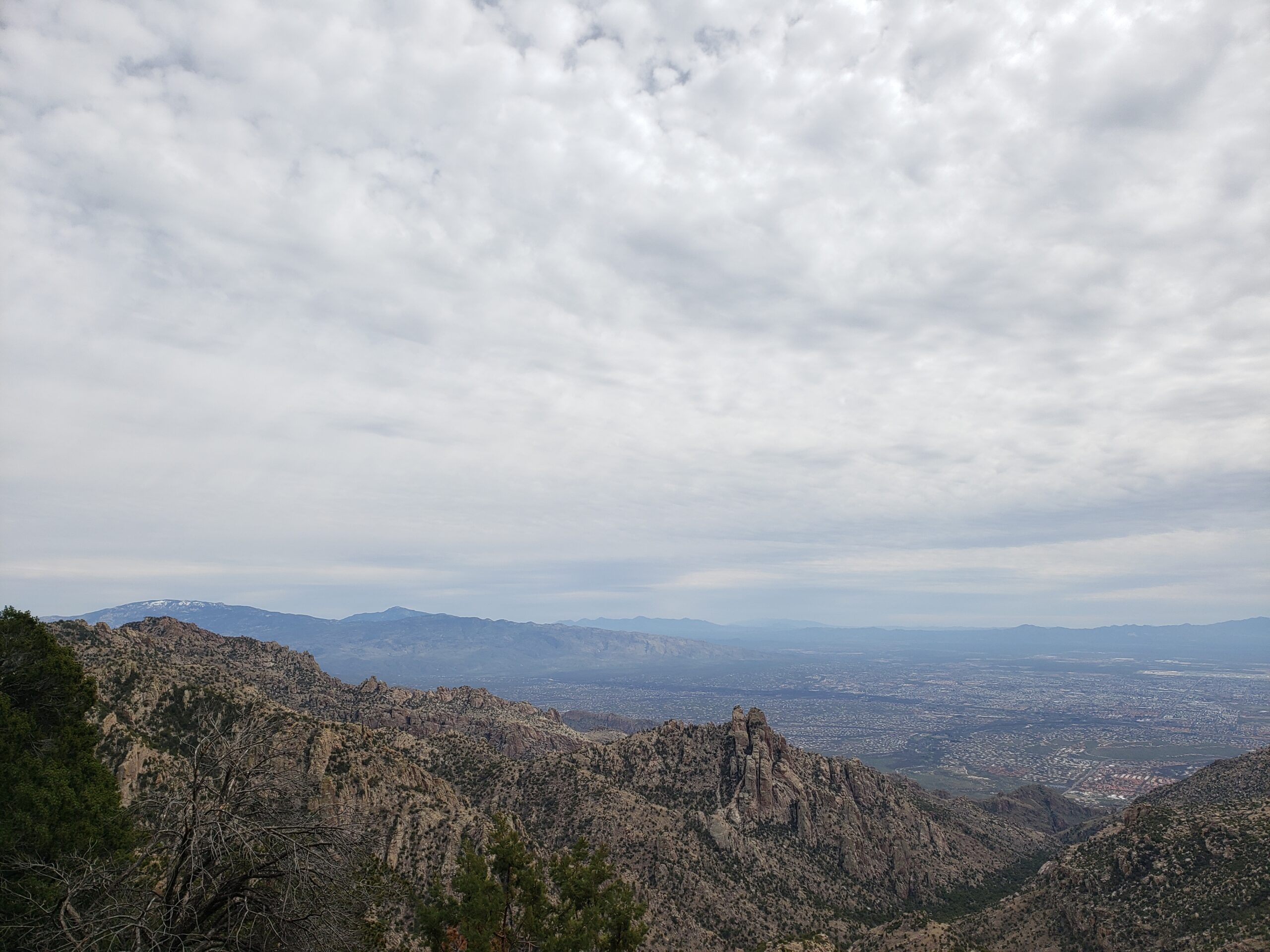 Espero Canyon Loop 3/23/24